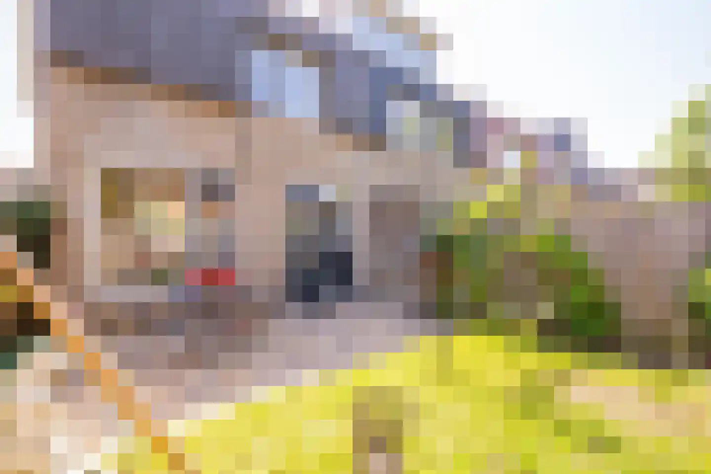 Schouw 38 8 Lelystad thumbnail 33