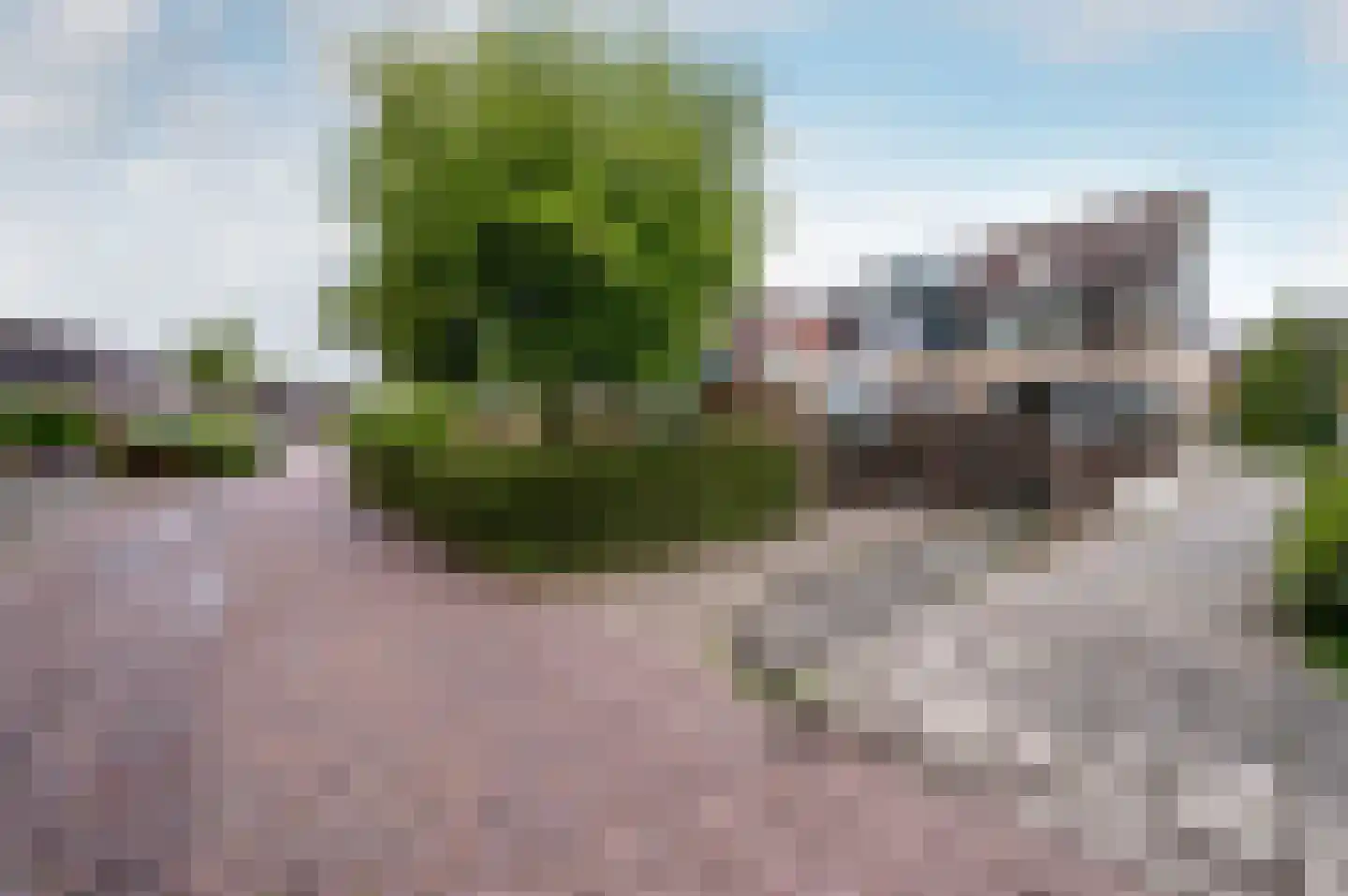 Schouw 38 8 Lelystad thumbnail 39