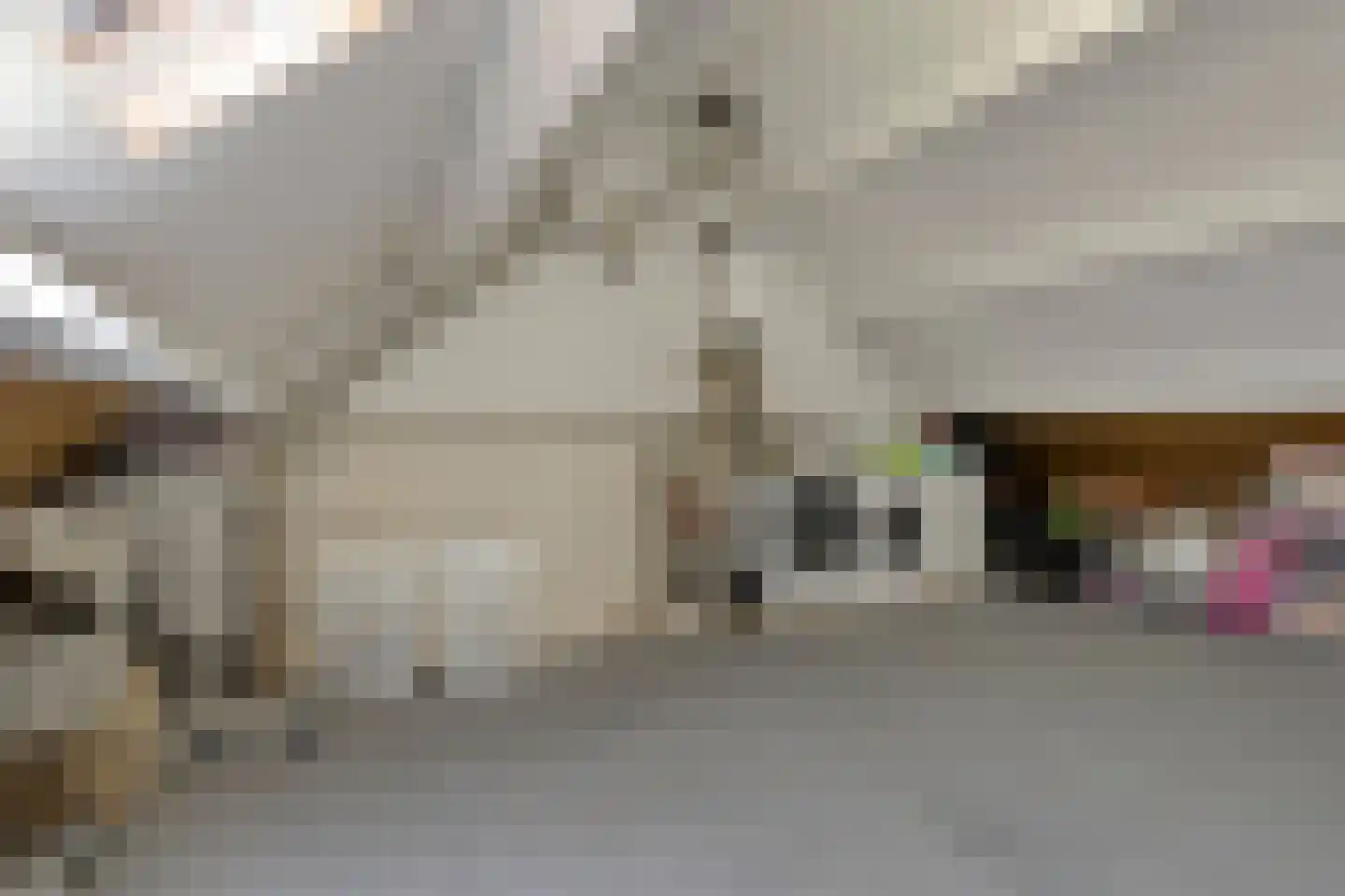 Schouw 38 Oud-Beijerland thumbnail 38