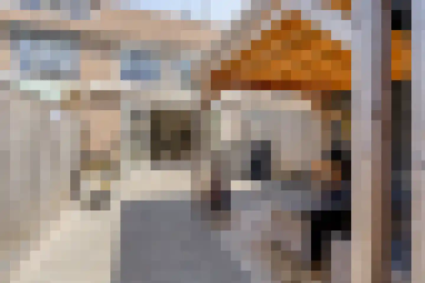 Schouw 38 Oud-Beijerland thumbnail 4