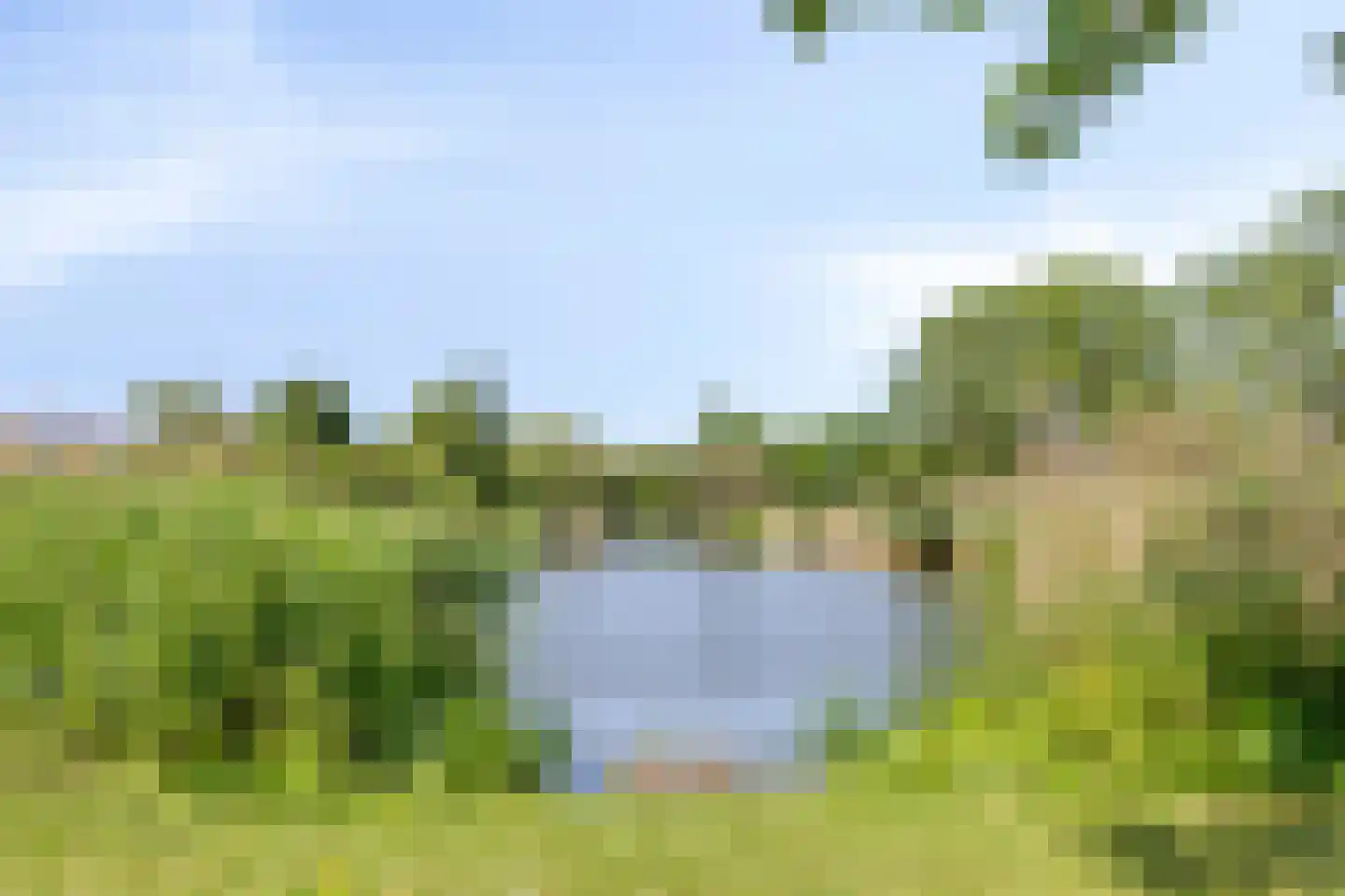 Schouw 38 Oud-Beijerland thumbnail 49