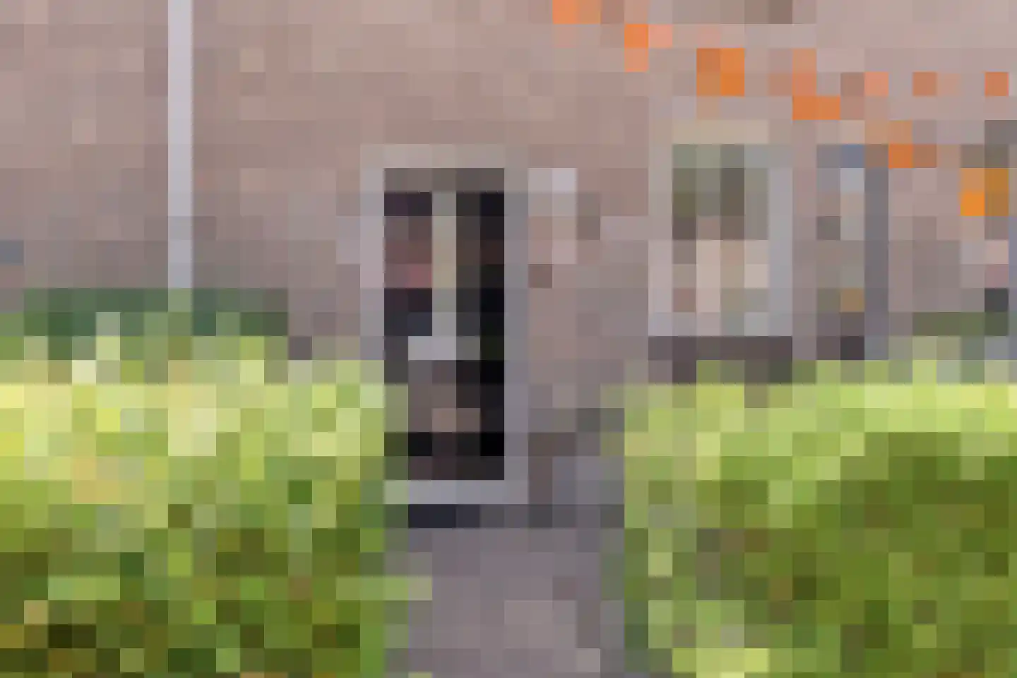 Schouw 38 Oud-Beijerland thumbnail 5