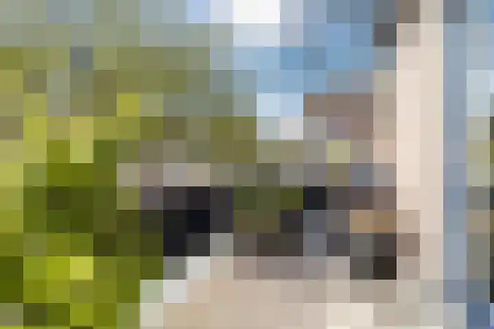 Schouw 39 Schiedam thumbnail 17