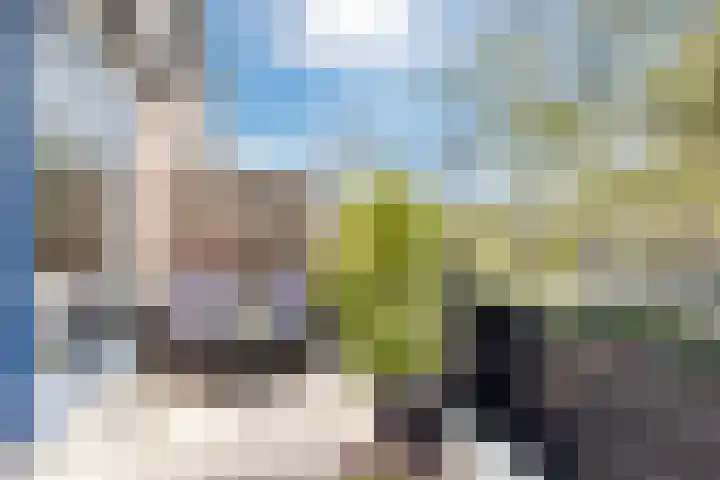 Schouw 39 Schiedam thumbnail 18