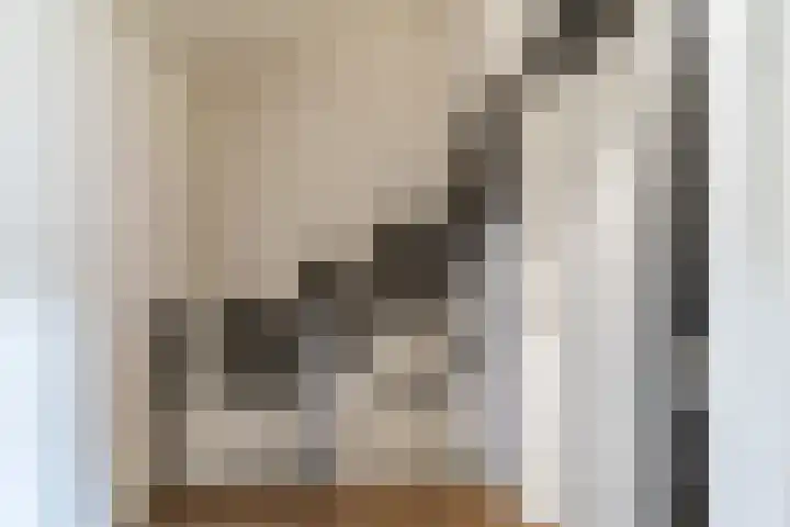 Schouw 39 Schiedam thumbnail 33