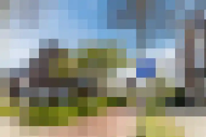 Schouw 39 Schiedam thumbnail 36