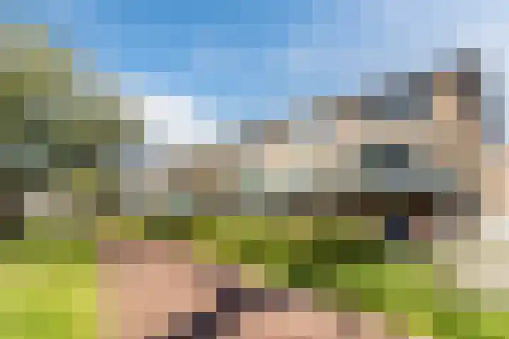 Schouw 39 Schiedam thumbnail 37