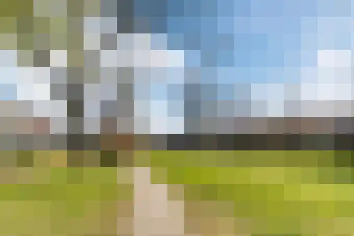 Schouw 39 Schiedam thumbnail 38