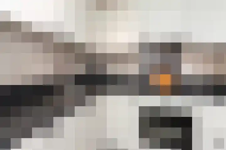 Schouw 4 Hardinxveld-Giessendam thumbnail 11
