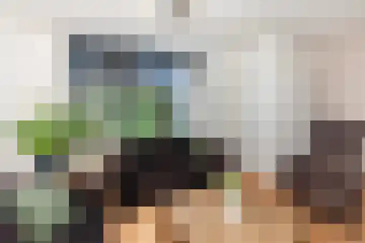 Schouw 4 Hardinxveld-Giessendam thumbnail 5