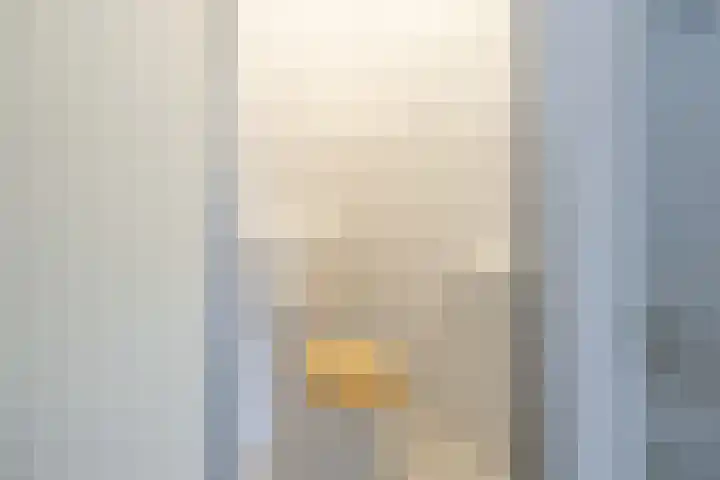 Schouw 43 Blaricum thumbnail 10