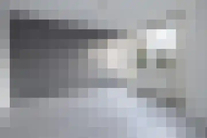 Schouw 43 Blaricum thumbnail 13