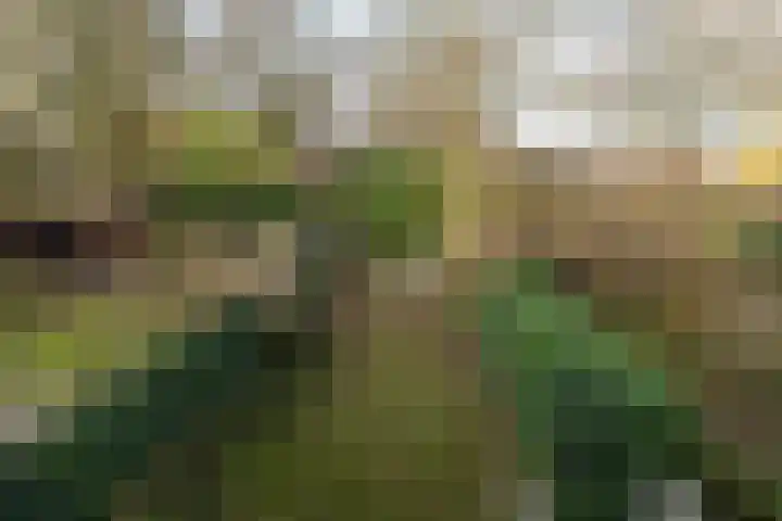 Schouw 43 Blaricum thumbnail 22