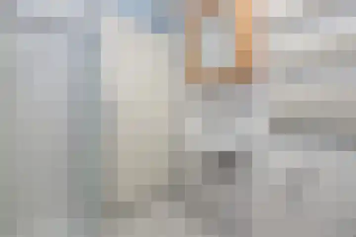 Schouw 43 Blaricum thumbnail 25