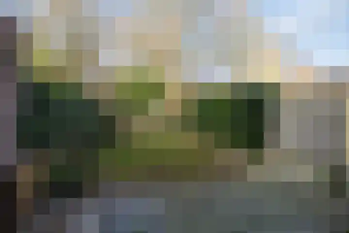 Schouw 43 Blaricum thumbnail 33