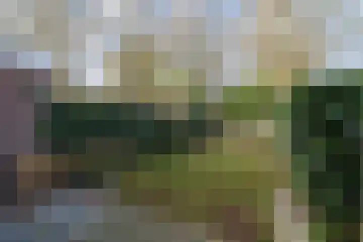 Schouw 43 Blaricum thumbnail 35