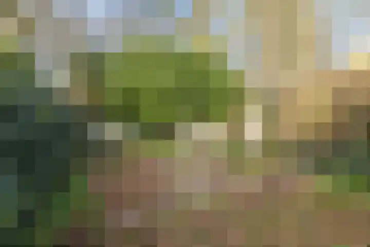 Schouw 43 Blaricum thumbnail 36