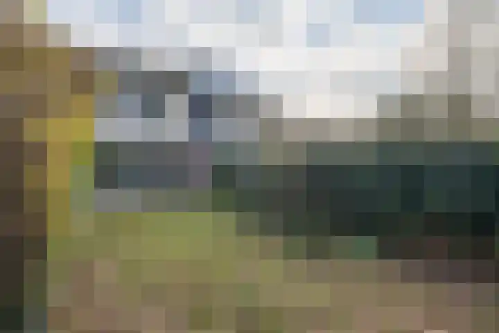 Schouw 43 Blaricum thumbnail 37