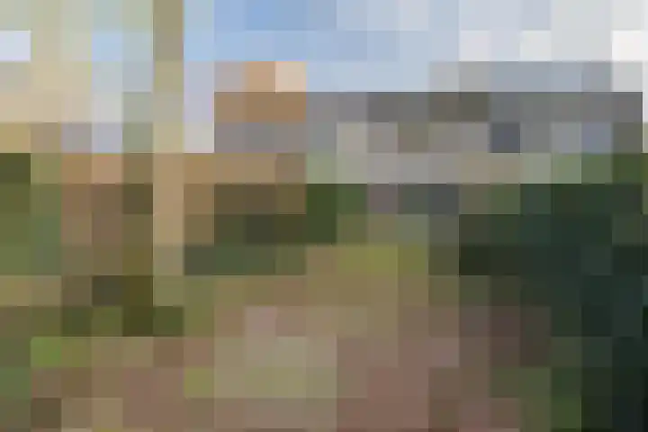 Schouw 43 Blaricum thumbnail 38