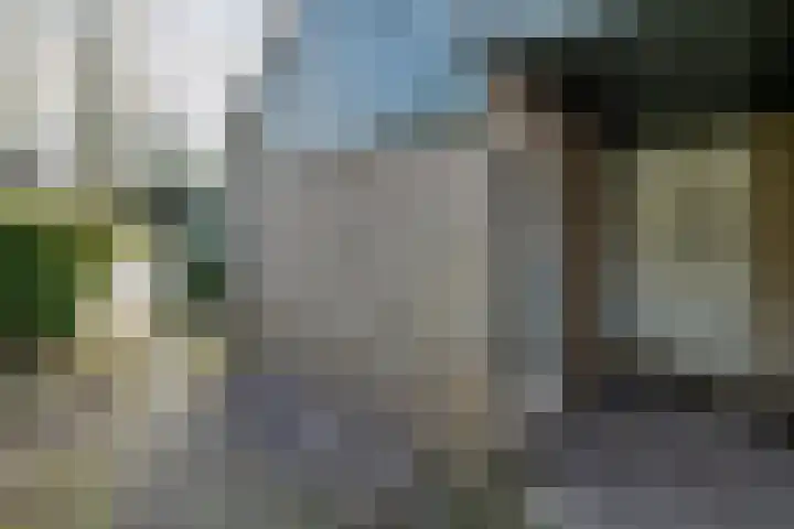 Schouw 43 Blaricum thumbnail 39