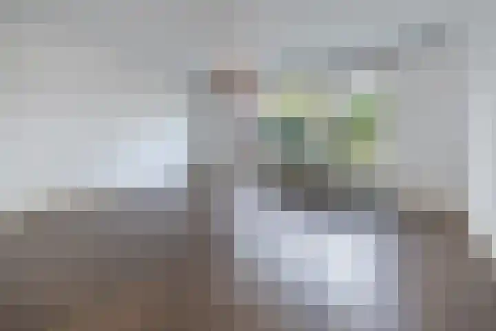 Schouw 43 Blaricum thumbnail 4