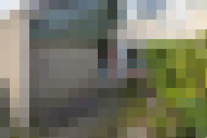 Schouw 43 Blaricum thumbnail 42