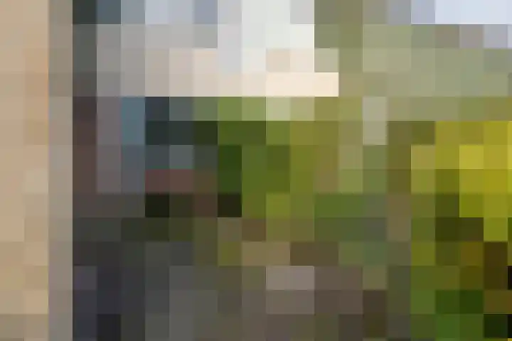 Schouw 43 Blaricum thumbnail 44