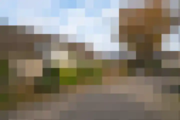 Schouw 43 Blaricum thumbnail 45