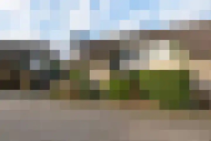 Schouw 43 Blaricum thumbnail 46