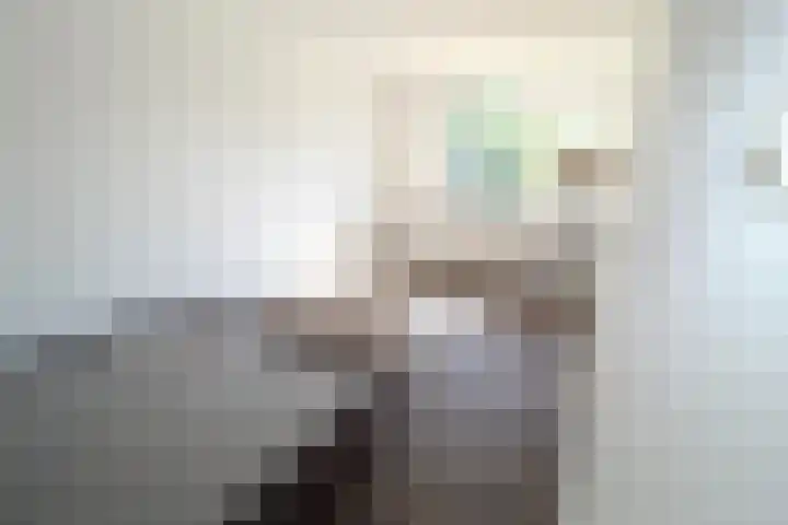 Schouw 44 44 42 Lelystad thumbnail 11