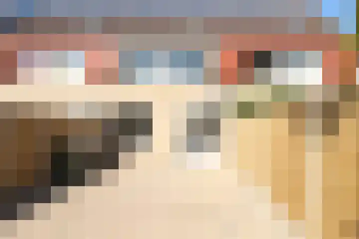 Schouw 44 44 42 Lelystad thumbnail 14