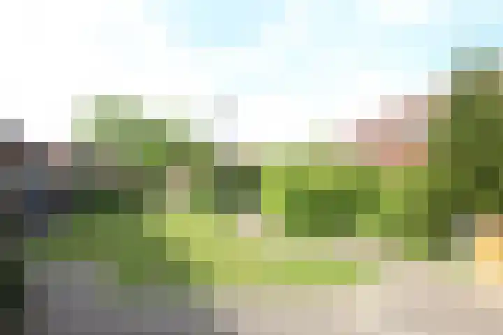 Schouw 44 44 42 Lelystad thumbnail 16