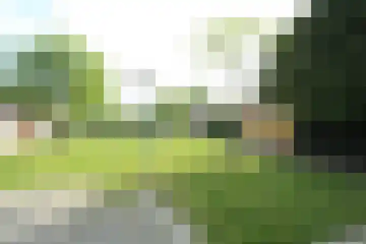 Schouw 44 44 42 Lelystad thumbnail 17