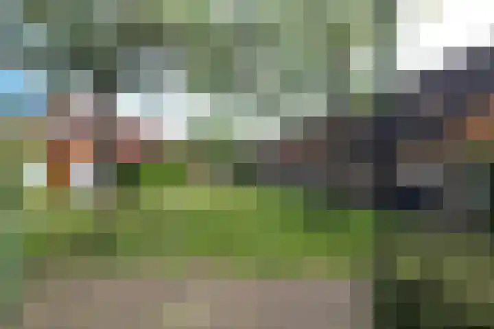 Schouw 44 44 42 Lelystad thumbnail 18
