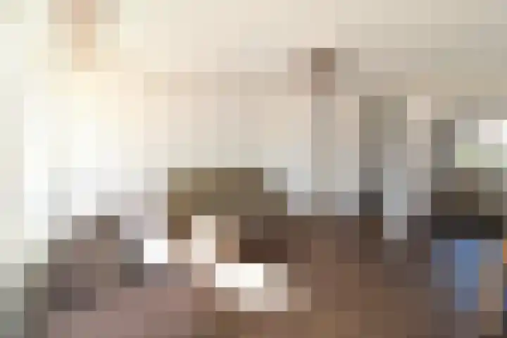 Schouw 44 44 42 Lelystad thumbnail 6
