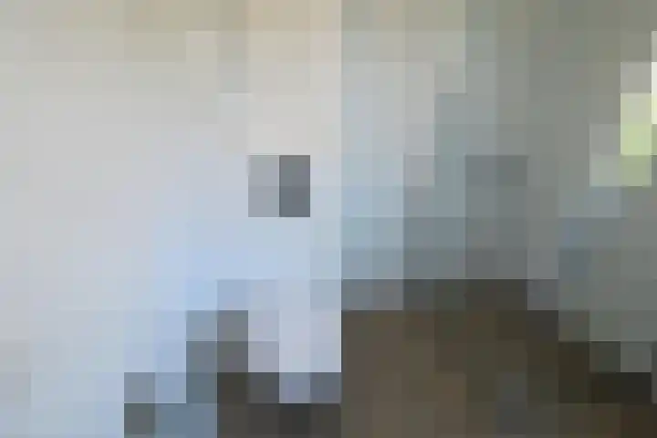 Schouw 44 44 42 Lelystad thumbnail 7