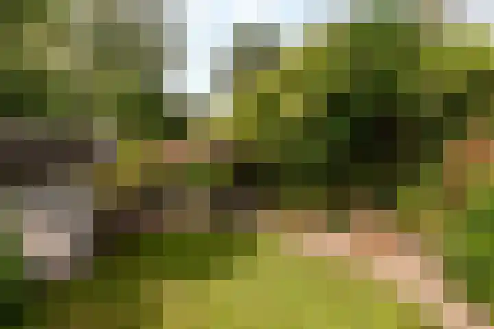 Schouw 49 11 Lelystad thumbnail 39