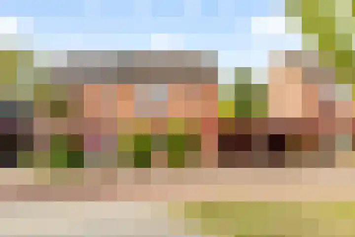 Schouw 49 11 Lelystad thumbnail 4