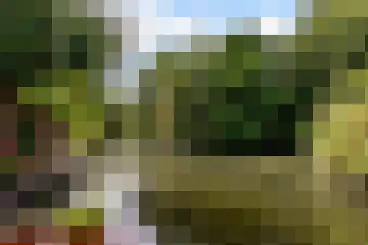 Schouw 49 11 Lelystad thumbnail 41