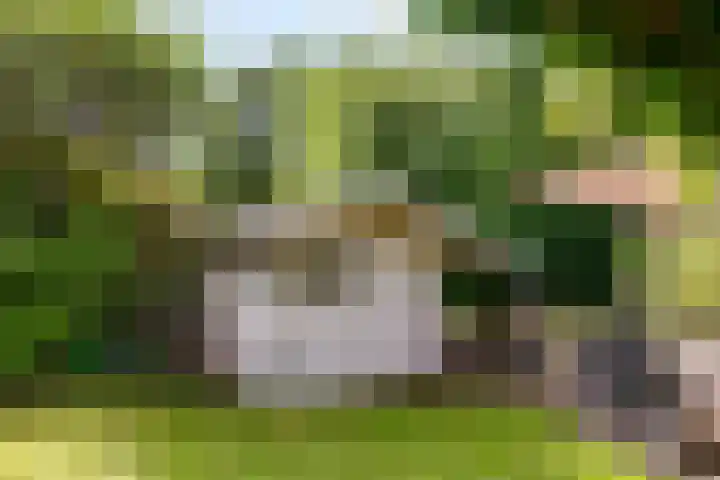 Schouw 49 49 11 Lelystad thumbnail 45