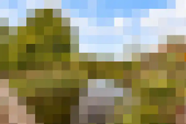 Schouw 49 49 11 Lelystad thumbnail 49