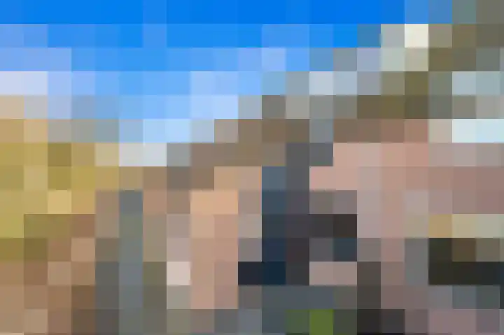 Schouw 49 Schipluiden