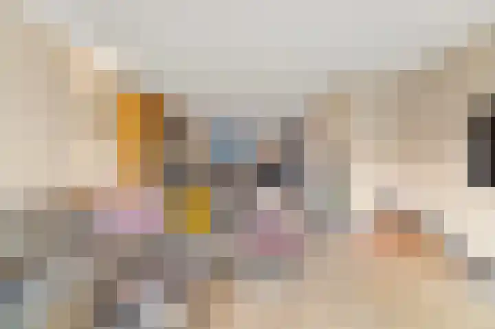 Schouw 49 Schipluiden thumbnail 10