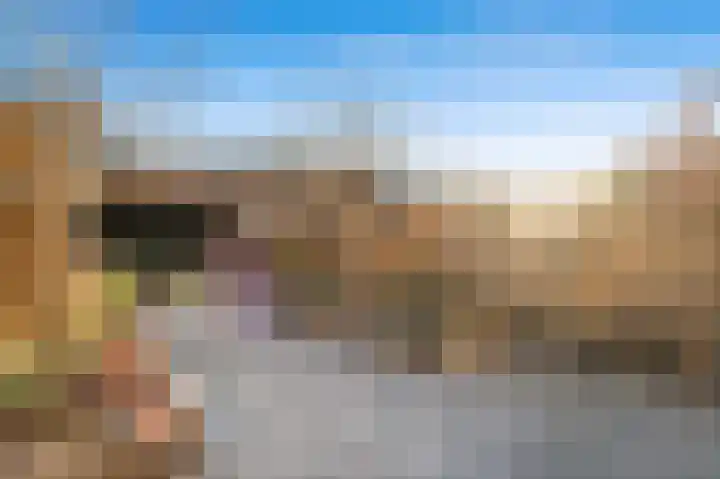 Schouw 49 Schipluiden thumbnail 11