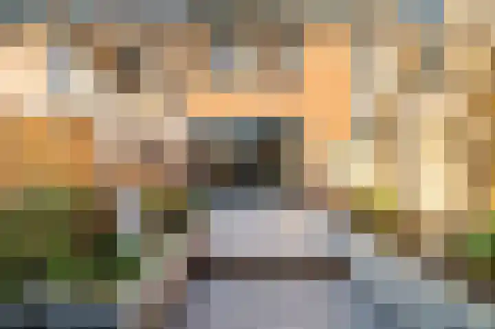 Schouw 49 Schipluiden thumbnail 12