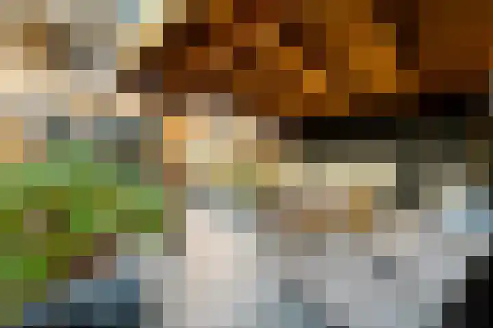 Schouw 49 Schipluiden thumbnail 14