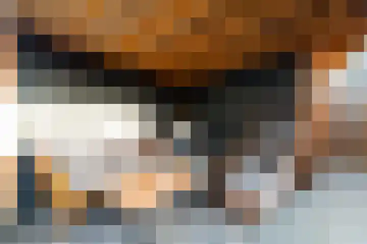 Schouw 49 Schipluiden thumbnail 15