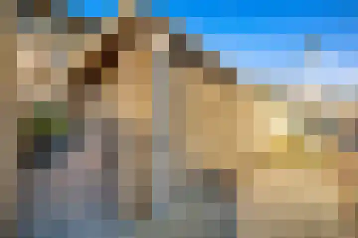 Schouw 49 Schipluiden thumbnail 17