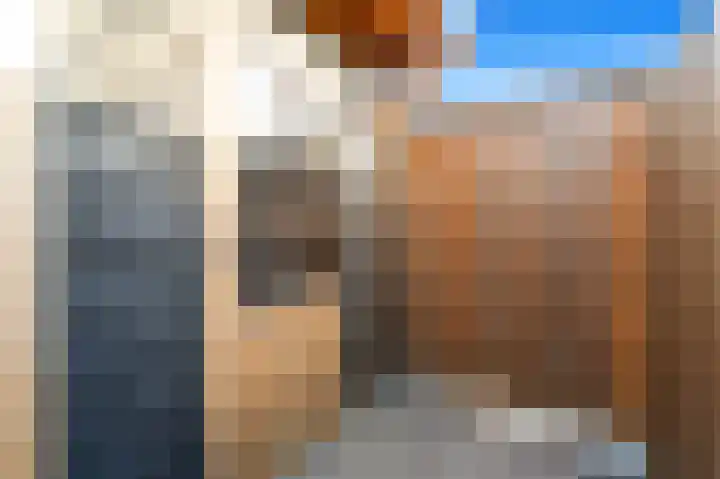 Schouw 49 Schipluiden thumbnail 18