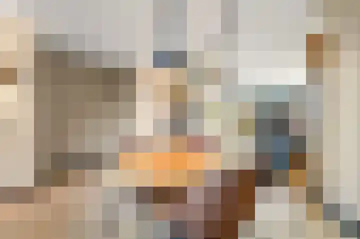 Schouw 49 Schipluiden thumbnail 19